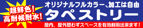 ^yXg[