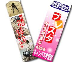 のぼり